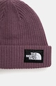 Doplňky Čepice The North Face Salty Lined Beanie NF0A3FJW1NI1 fialová