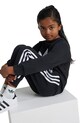 Дитячий спортивний костюм adidas Originals TREFOIL CREW SE IY4784