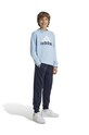 Детский спортивный костюм adidas J BL FT TS трикотаж голубой IY5429
