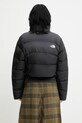 Oblečení Bunda The North Face Saikuru NF0A89JCKT01 černá