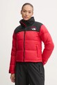 The North Face piumino TNF x 30th Years HMLYN foderato rosso NF0A3XEO7GO1