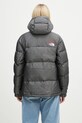 Abbigliamento The North Face piumino TNF x 30th Years HMLYN NF0A88YW1OA1 grigio