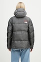 Clothing The North Face down jacket TNF x 30th Years HMLYN NF0A88YW1OA1 gray