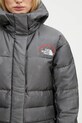 The North Face piumino TNF x 30th Years HMLYN grigio NF0A88YW1OA1