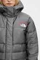 The North Face down jacket TNF x 30th Years HMLYN gray NF0A88YW1OA1