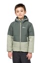 Дитяча зимова куртка Jack Wolfskin з утепленням зелений 1610131.92.152