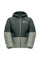 Дитяча зимова куртка Jack Wolfskin 1610131.92.152 зелений AW24