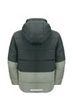 Дівчинка Дитяча зимова куртка Jack Wolfskin 1610131.92.152 зелений