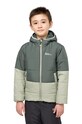 Дитяча зимова куртка Jack Wolfskin з утепленням зелений 1610131.164.176