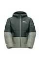 Дитяча зимова куртка Jack Wolfskin 1610131.164.176 зелений AW24
