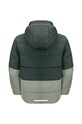 Дівчинка Дитяча зимова куртка Jack Wolfskin 1610131.164.176 зелений