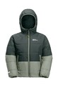 Дитяча зимова куртка Jack Wolfskin зелений 1610131.164.176