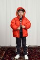 Дитяча куртка Mini Rodini 2471011842