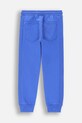Детские спортивные штаны Coccodrillo ZC4120203FBK голубой AW24