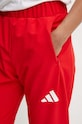 adidas Performance pantaloni de trening Polska rosu JF6669