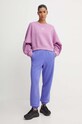 Спортивні штани adidas Originals IY9636 фіолетовий AW24