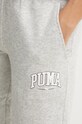 Одежда Спортивные штаны Puma 681542 серый