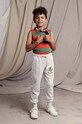 Mini Rodini spodnie dresowe bawełniane dziecięce Parrot bawełna szary 2463011594
