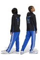 Detské tepláky adidas Originals FIREBIRD PANTS IY9803 modrá