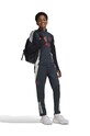 Tepláky adidas Performance MUFC EU TR PNTY IS8088