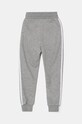 Хлопчик Дитячі спортивні штани adidas Originals TREFOIL PANTS IY7485 сірий