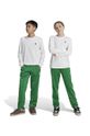 Detské tepláky adidas Originals FIREBIRD PANTS pletenina zelená IY9804