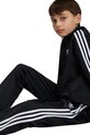 Дитячі спортивні штани adidas Originals FIREBIRD PANTS IY9805