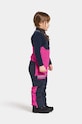 Детские лыжные штаны Didriksons BJÄRVEN K BIB PANT 505430