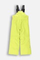 Дитячі лижні штани Lemon Explore ZL4119202OSB зелений AW24