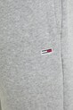 Спортивні штани Tommy Jeans сірий DM0DM20473