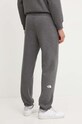 Îmbrăcăminte The North Face pantaloni de trening Pant Varsity Graphic NF0A89DPDYY1 gri