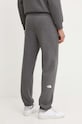 Oblečení Tepláky The North Face Pant Varsity Graphic NF0A89DPDYY1 šedá