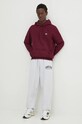 Спортивні штани Tommy Jeans DM0DM19802 сірий AW24
