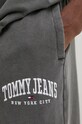 Спортивные штаны Tommy Jeans серый DM0DM19802