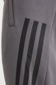 Одежда Спортивные штаны adidas Future Icons IW8535 серый