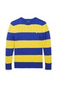 Polo Ralph Lauren maglione per bambini con misto lana 323861966008 giallo AW24
