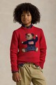 Παιδικό πουλόβερ από μείγμα μαλλιού Polo Ralph Lauren με μείγμα μαλλιού κόκκινο 323951155001