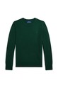 Polo Ralph Lauren sweter bawełniany dziecięcy pozostałe zielony 323951349003