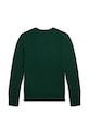 Polo Ralph Lauren sweter bawełniany dziecięcy 323951349003 zielony AW24