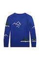 Chłopiec Polo Ralph Lauren sweter z domieszką wełny dziecięcy 323951422001 niebieski