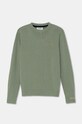 Pepe Jeans pulover de bumbac pentru copii TOTTENHAM CREW uni verde PB701224
