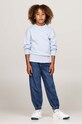 Dětský bavlněný svetr Tommy Hilfiger modrá KB0KB09466.9BYH.128.176