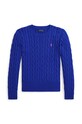 Детский хлопковый свитер Polo Ralph Lauren остальные тёмно-синий 313901316012