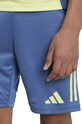 Дитячі шорти adidas Performance AJAX TR SHO IT5075