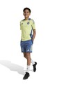 Дитячі шорти adidas Performance AJAX TR SHO IT5075