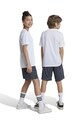 Παιδικό σορτς adidas J TR-ES SH IW0848 γκρί