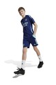 Детские шорты adidas Performance AFC TR SHO IT2200