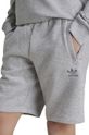 Dječje kratke hlače adidas Originals SHORTS IX5237