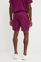 Îmbrăcăminte Under Armour pantaloni scurti Project Rock 1386885 violet