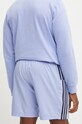 Îmbrăcăminte adidas pantaloni scurti Essentials Chelsea IW7664 albastru